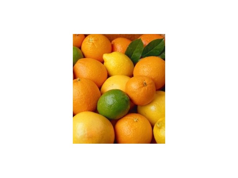 Oranges-Citrons-Pamplemousses Terroir