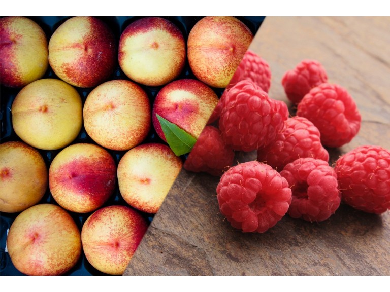 Pêches Framboises Terroir Collines en limousin Coulis, confitures